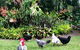 Eden Rest - thumb 3