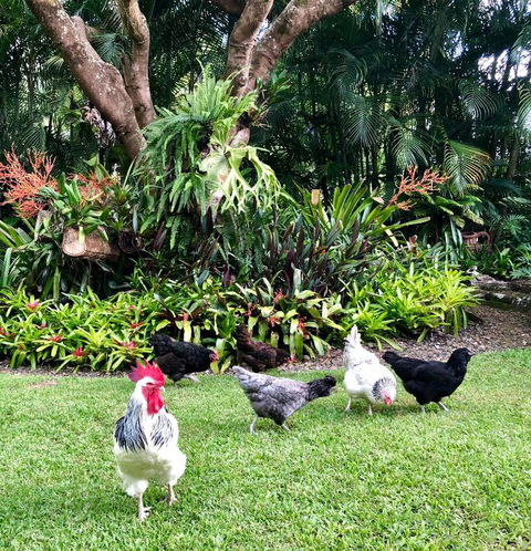 Eden Rest - Accommodation Ballina 3