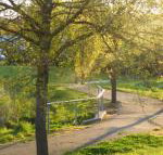 A Suite Spot in the Hills - Accommodation Ballina