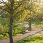 A Suite Spot In The Hills - Accommodation Ballina 0