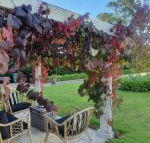 The Cottage - Accommodation Ballina