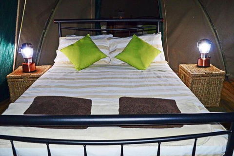 Nulla Nulla Farm Retreat - Accommodation Ballina 7
