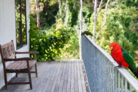 At Riverside - Accommodation Ballina 5