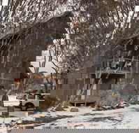 Mitchell - Accommodation Ballina