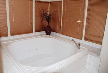 Square Bear - Accommodation Ballina 4