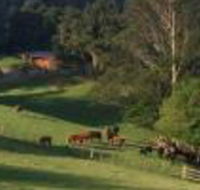 Amaroo Valley Springs - Accommodation Ballina