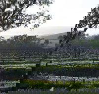 Jasmine's Cottage - Accommodation Ballina