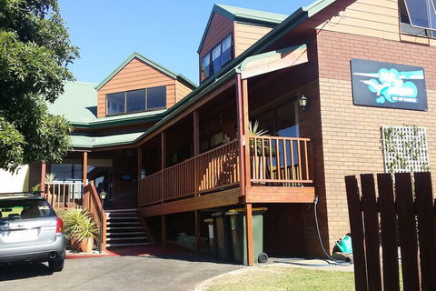 High On Penguin - Accommodation Ballina 1
