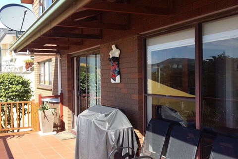 High On Penguin - Accommodation Ballina 7