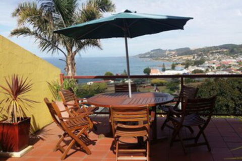 High On Penguin - Accommodation Ballina 0