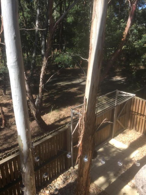 Tangles - Accommodation Ballina 6