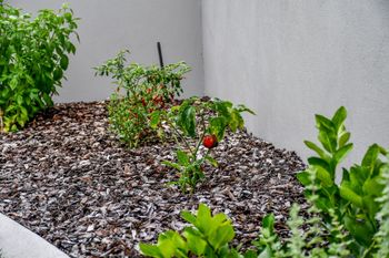 Oceanic Resort - Accommodation Ballina 3