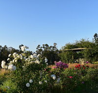 Labertouche Gypsy Creek Winery - Accommodation Ballina