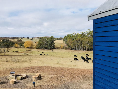 In2thewild - Walden - Accommodation Ballina 7