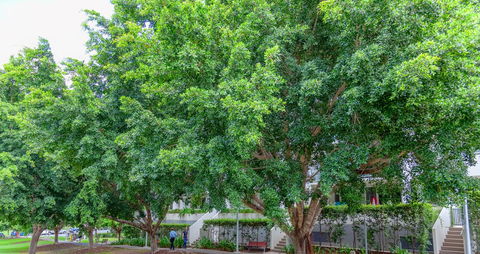 Theodore Apartments - Accommodation Ballina 0