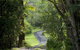 Nimbin Waterfall Retreat - thumb 1