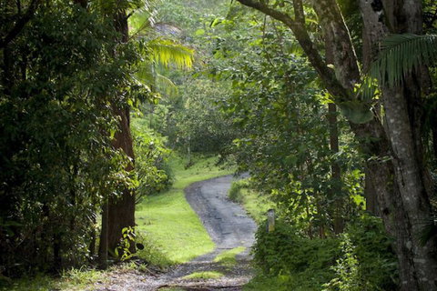 Nimbin Waterfall Retreat - Accommodation Ballina 1