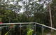 Kookaburras At Smiths - thumb 7