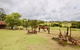 Country Breeze Farm Stay - thumb 1