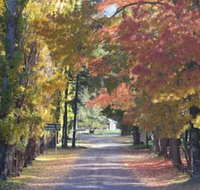 Wombeyan Caves - Accommodation Ballina