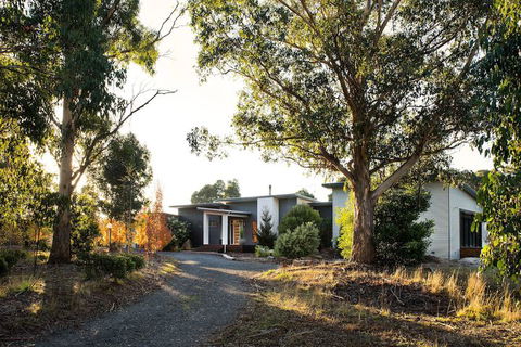 Arya - Accommodation Ballina 1