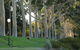 Heritage & Charming House In Subi - thumb 3