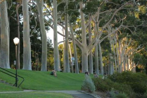 Heritage & Charming House In Subi - Accommodation Ballina 3