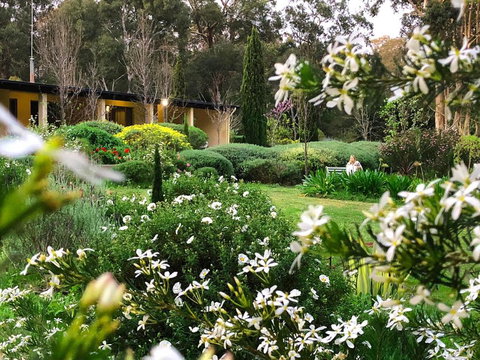 Naturescape - Accommodation Ballina 4