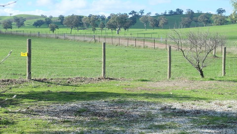 Yea Woodduck Cottage - Accommodation Ballina 0