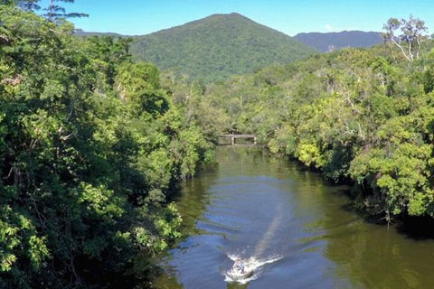 Noah Creek Eco Huts - Accommodation Ballina 1