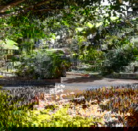 Country Comfort Bundaberg - Accommodation Ballina