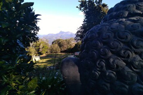 Ruah Rain Forest Retreat - Accommodation Ballina 0