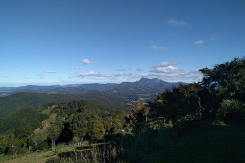 Ruah Rain Forest Retreat - Accommodation Ballina 6