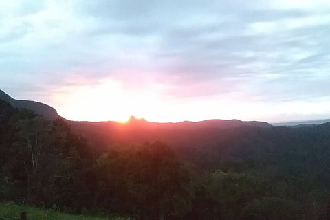Ruah Rain Forest Retreat - Accommodation Ballina 4
