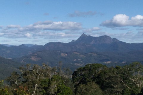 Ruah Rain Forest Retreat - Accommodation Ballina 2