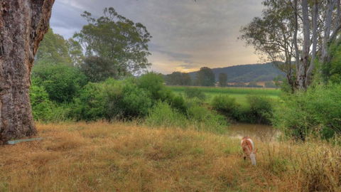 Buffalo River Homestead - Accommodation Ballina 3