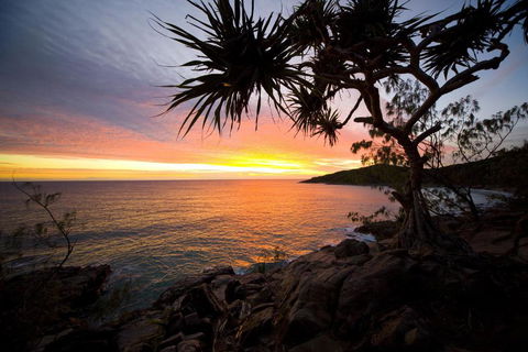 Jimmys Shout Pet Friendly - Accommodation Ballina 6