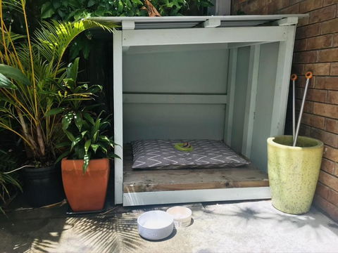 Jimmys Shout Pet Friendly - Accommodation Ballina 3