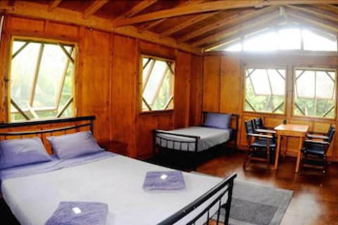 Daintree Rainforest Bungalows - Accommodation Ballina 5