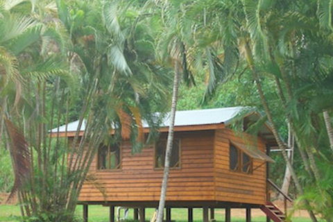 Daintree Rainforest Bungalows - Accommodation Ballina 0
