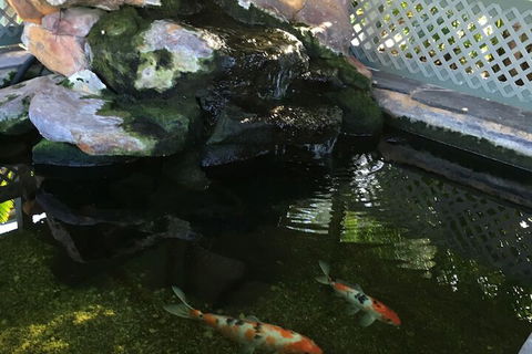 Quality Inn The Willows - Accommodation Ballina 3