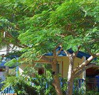 Amber Gardens Guesthouse - Accommodation Ballina