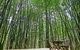 Azabu Boutique Accommodation Byron Bay - thumb 0