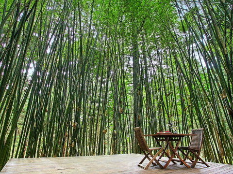 Azabu Boutique Accommodation Byron Bay - Accommodation Ballina 0