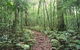 Goomburra Forest Retreat - thumb 5
