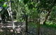 Barefoot Bungalow Castaways Beach - thumb 6