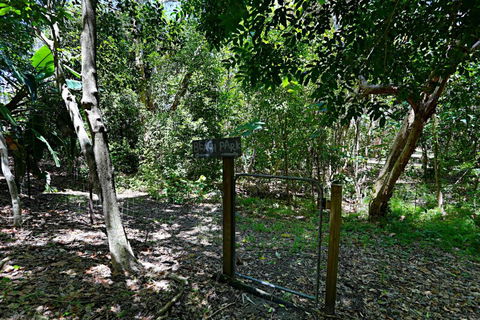 Barefoot Bungalow Castaways Beach - Accommodation Ballina 6