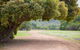 Riverside Retreat Chalets Walpole - thumb 4