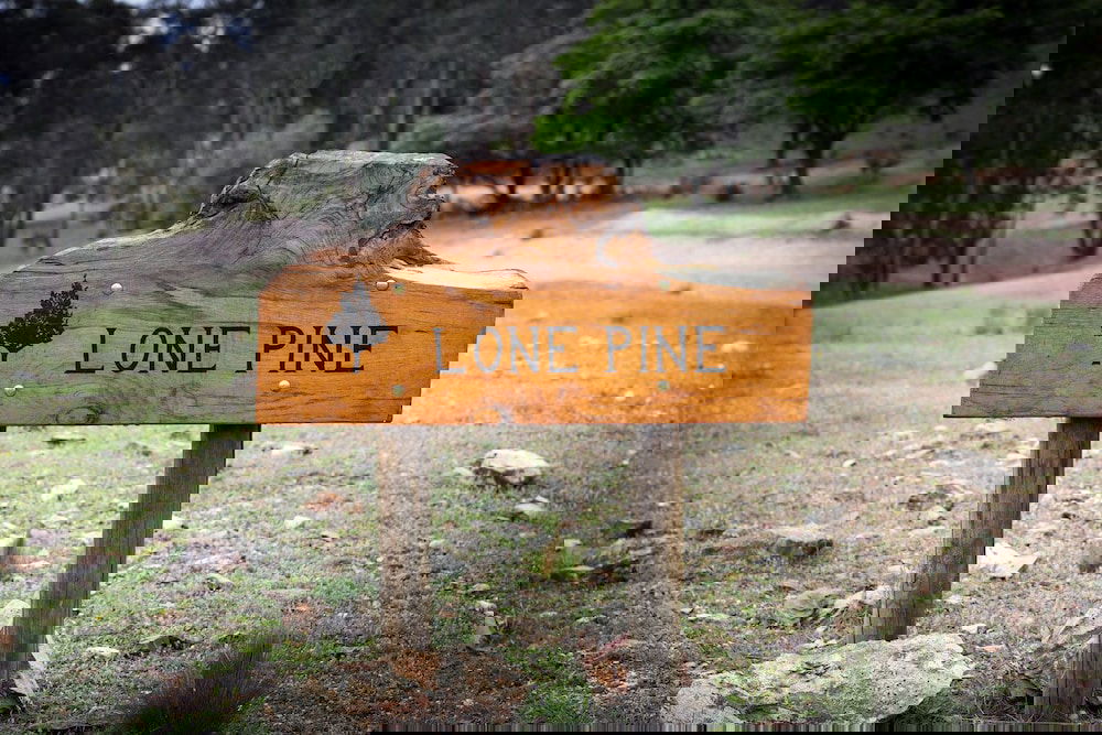 Meroo NSW Accommodation Ballina