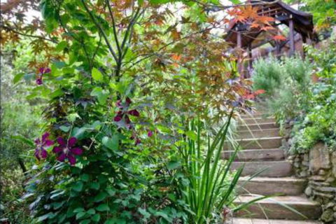 The Black Cockatoo Secret Garden Mountains Home - Accommodation Ballina 6